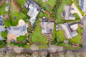 Photo 11- click for photo gallery